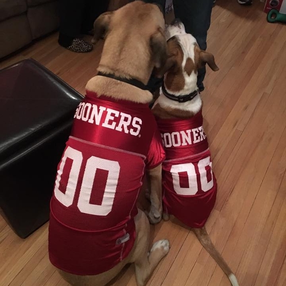 Meet your Posher, Elizabeth - Picture 2 of 2